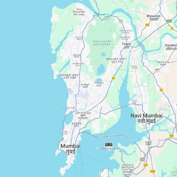 Google Maps Features